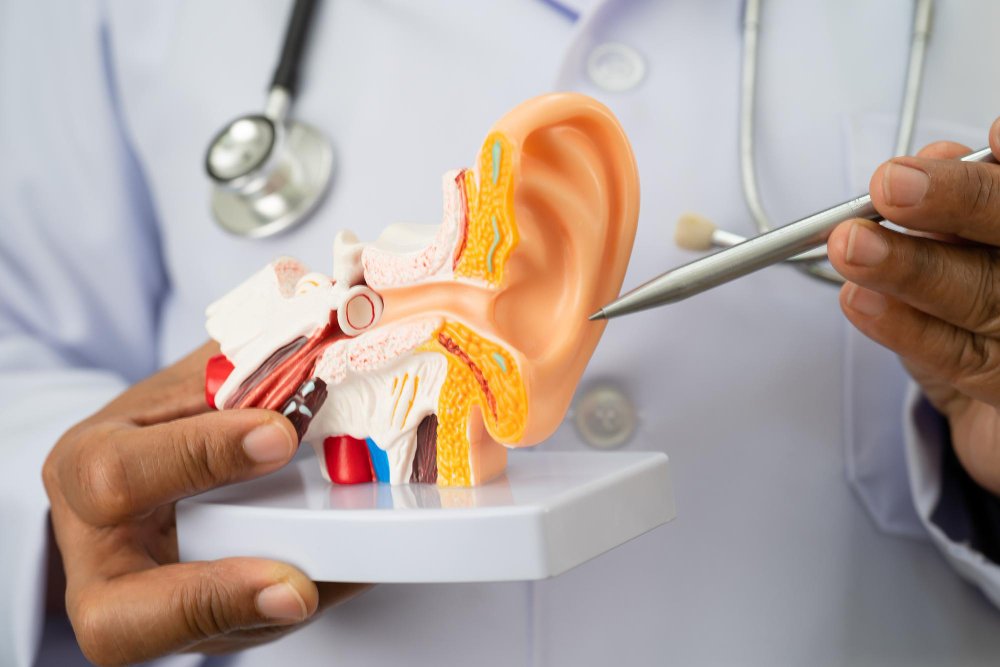 Tratamiento de Otitis Media y Externa