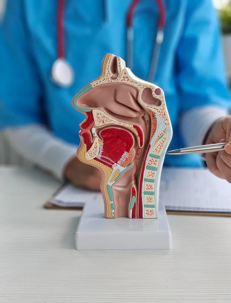 Tratamiento de otitis externa en CDMX